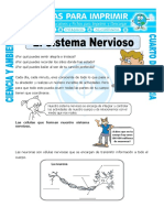 Ficha El Sistema Nervioso Para Cuarto de Primaria