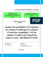 Analyse Des Procédures D'évaluation Des Risques D'audit