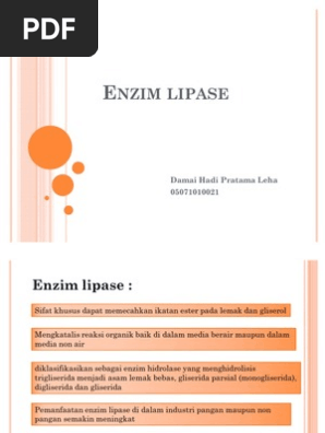 Enzim Lipase