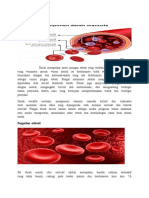 PENGERTIAN DAN FUNGSI SEL DARAH MERAH