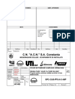 SPC-CUS-PFU-6-3-08P Program Faze Determinante