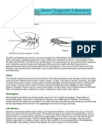 Silverfish and Firebrats: Identification and Management