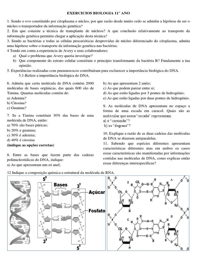 Exercicios Biologia 11 | PDF | DNA | Gene