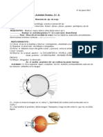 Práctico 11 PDF Disecccion de Ojo