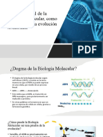 Presentación (1) Biología Molecular