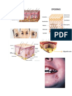 Tratamiento Facial Naye (1)