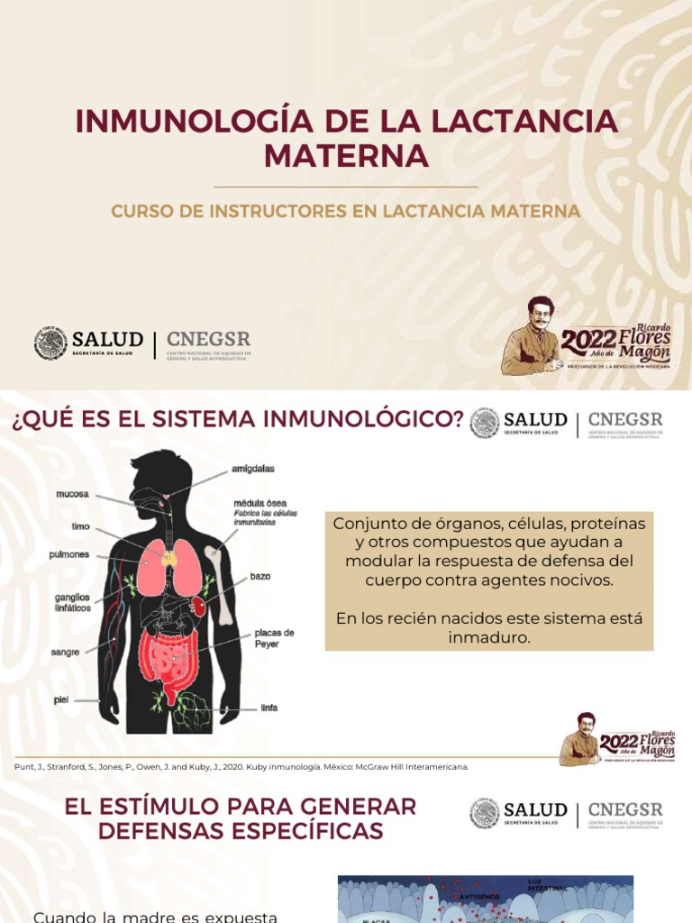 Inmunología de La Leche Materna PDF