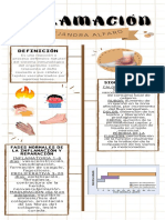 Inflamación guía completa