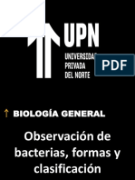 JP - PPT - Sem 9 - Clasificación de Bacterias