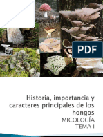 HISTORIA Micología - López Caribel Yuridia
