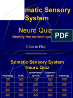 The Somatic Sensory System Neuro Quiz