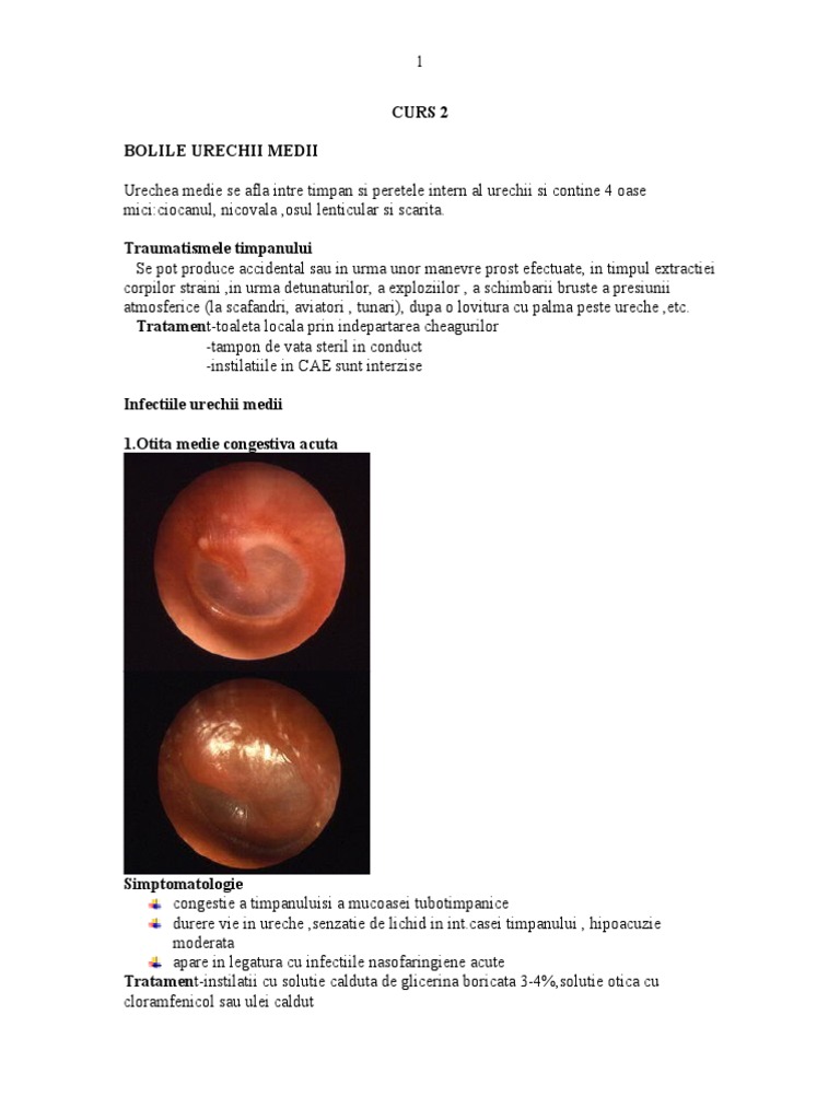 Curs 2 | PDF