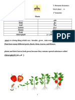 Modern English School T. Mutasem Hamamra Science Work Sheet - 4 - 2 Grade 1 Semester