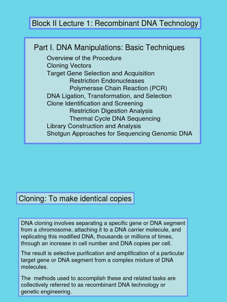 Recombinant DNA Technology Techniques | PDF | Molecular Cloning | Plasmid