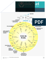 Bioquímica Nutricional Archivos - IIDENUT