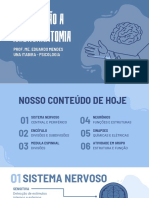 Introdução A Neuroanatomia