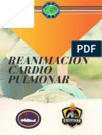 RCP Guía Reanimación Cardiopulmonar