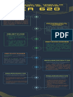 Infografía NIA 620