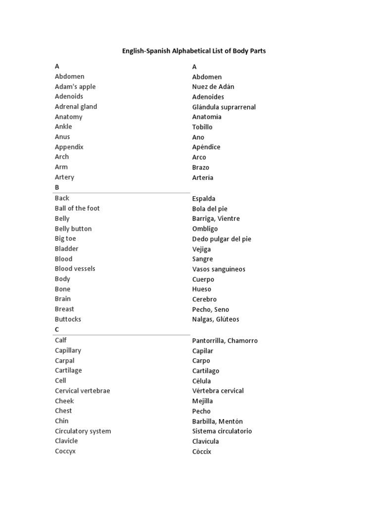 EnglishSpanish Alphabetical List of Body Parts PDF Abdomen Anatomía
