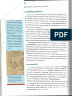 Trabajo y Sociedad en La América Colonial