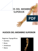 Anatomia-Huesos Del Miembro Superior