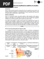 Anat Physio ORL | PDF | Oreille | Système vestibulaire