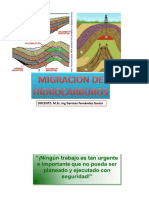 Capitulo 6 Migracion