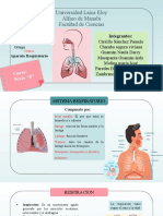 Sistema Respiratorio