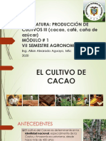 01 - Origen Cacao