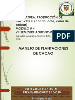04 Plantacion Cacao