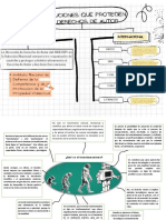 Mapa Mental D Consumidor