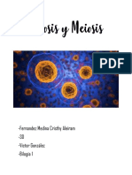 Mitosis y Meiosis