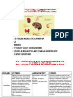 El Sistema Endocrino