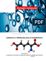 2 - 1 - Moléculas para El Metabolismo