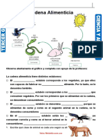 Proyecto Animales de Extinción para Tercer Grado de Primaria