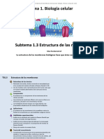 1 - 03 - Estructura de Las Membranas (1) - 6