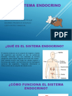 Sistema endocrino: hormonas y órganos clave