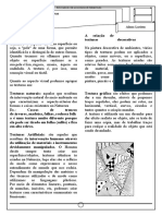 Técnicas de criação de texturas decorativas