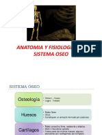 2. ANATOMIA Y FISIOLOGIA