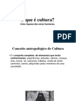 Definiciones de Cultura