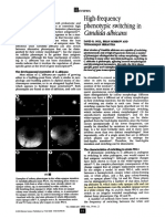 High Frequency Phenotypic Switching in Candida Albicans