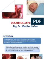 Desarrollo Perinatal