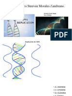 Replicacion de ADN