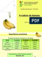 Cultivo Da Banana