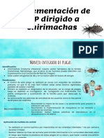 Manejo Integral de Plagas - Chirimachas
