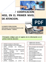 Registro y Codificacion HISS - Primer Nivel de Atencion