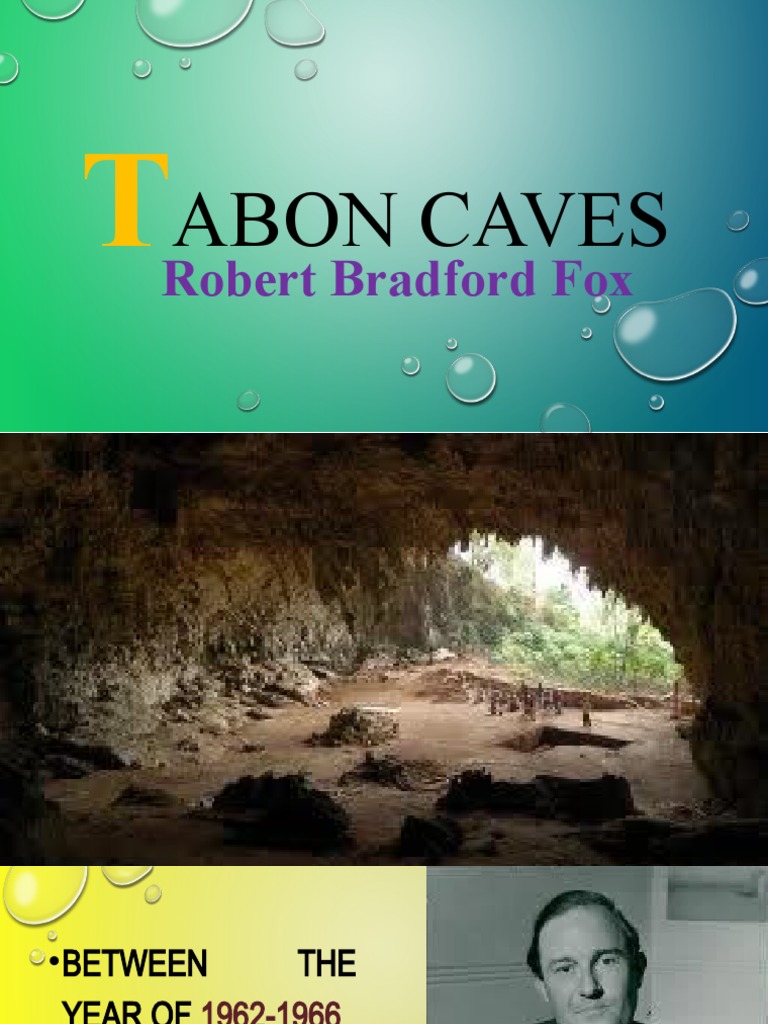 History of the Tabon Caves and Artifacts | PDF | Archaeology