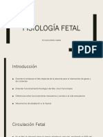 Fisiología Fetal
