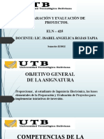 1 Proceso P y e Proyectos