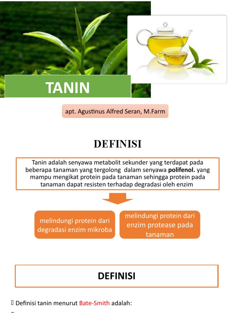 Tanin | PDF | Sains & Matematika